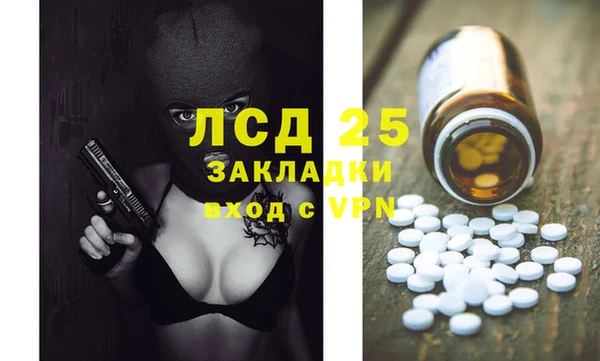 гидра Елабуга