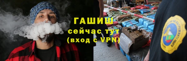 молекула духа Ельня