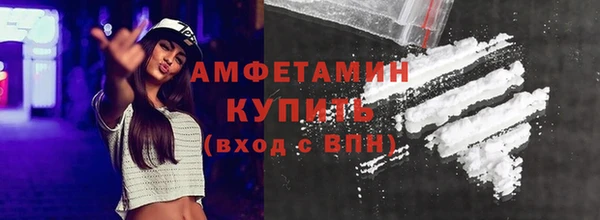 молекула духа Ельня