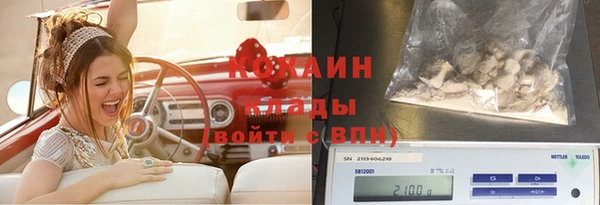 гидра Елабуга