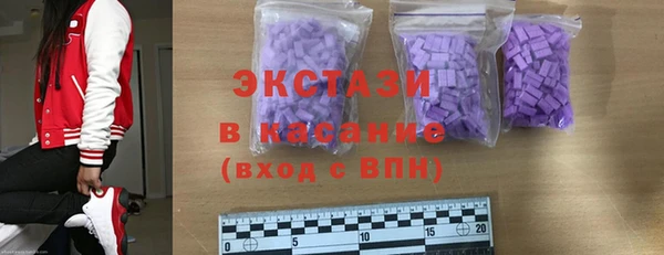 гидра Елабуга