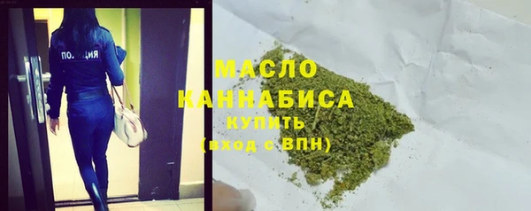 гидра Елабуга