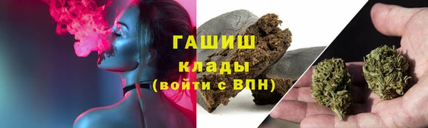 гидра Елабуга