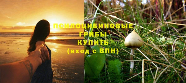 молекула духа Ельня