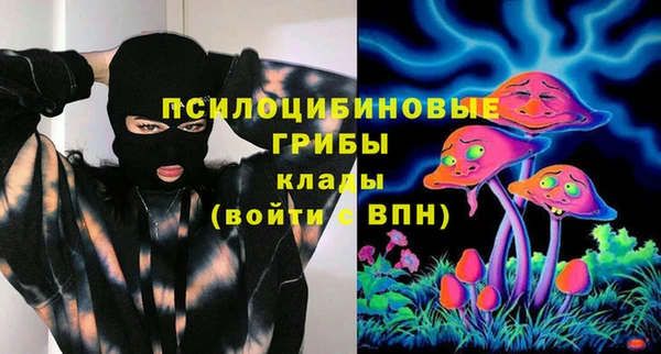 молекула духа Ельня