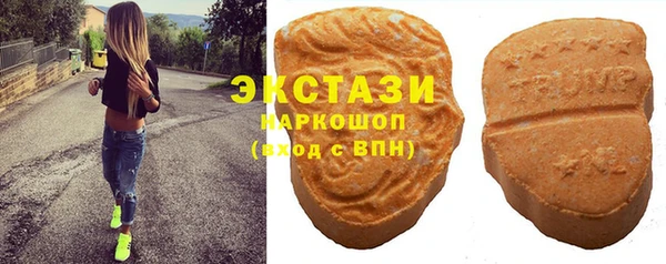 молекула духа Ельня