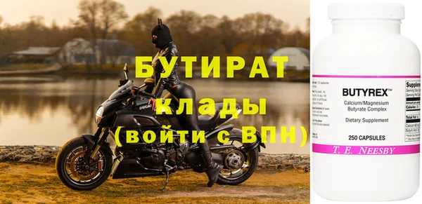 гидра Елабуга