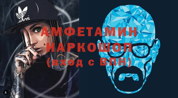 молекула духа Ельня