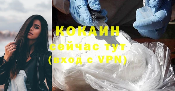 молекула духа Ельня