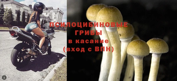 гидра Елабуга