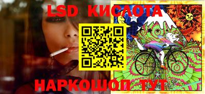 спиды Кандалакша