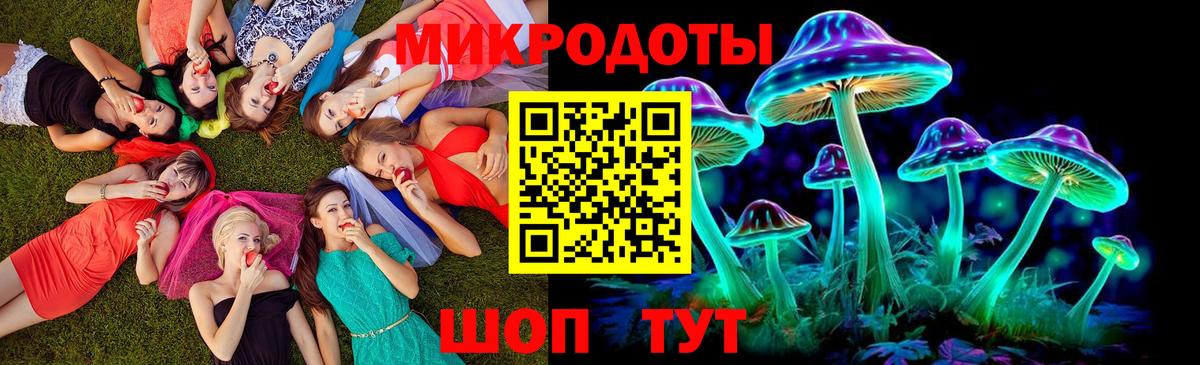 Галлюциногенные грибы мицелий  Вход с VPN  Канаш 